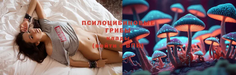 Псилоцибиновые грибы Magic Shrooms  где купить   Казань 